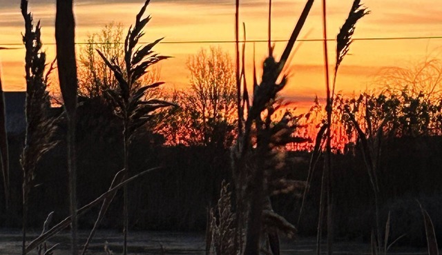 Mill Creek River House with hot tub Smyrna Dover riverfront with kayaks