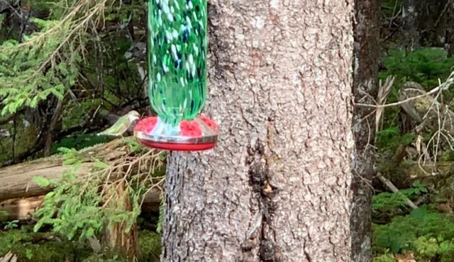 Mill Lake Retreat Hubbards