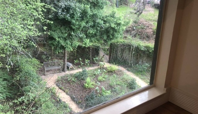 Mill Valley Gem surrounded by nature and hiking, 10 minutes to San Francisco