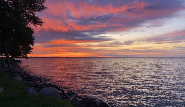 Mille Lacs Lakeshore Bliss