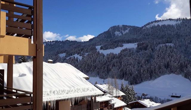 Millepertuis C26 CDA : séjour en famille à la montagne