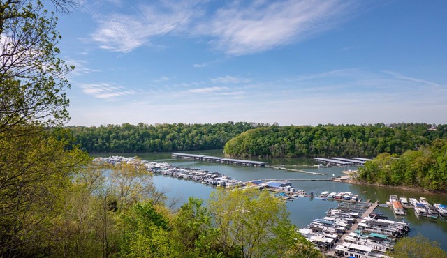Million Dollar View! Large Lakehouse Over-Looking Lee's Ford Marina