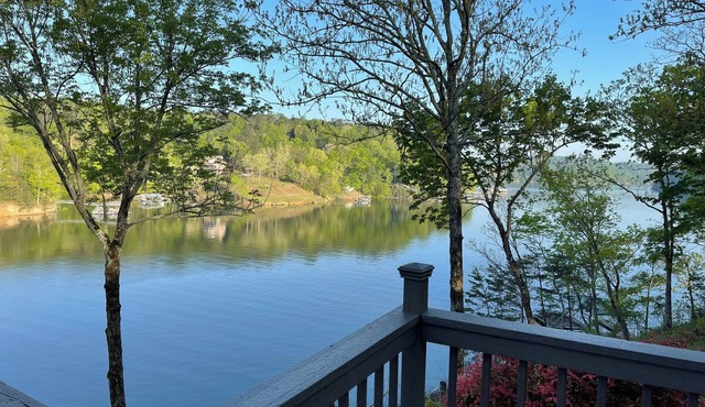 Million Dollar View on Lewis Smith Lake, Stunning Natural Beauty, Year Round Fun