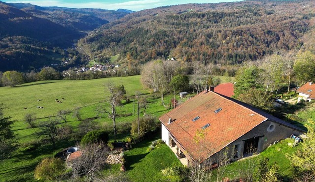 Milou - SAINT GERMAIN DE JOUX