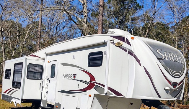 Mimi & Pops Peachy Palomino