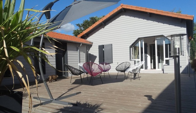 MIMIZAN - THE ARCICUS