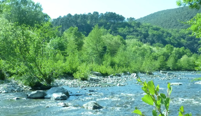 Mimosa on a hillside, gite 4/6 pers, 2 suites