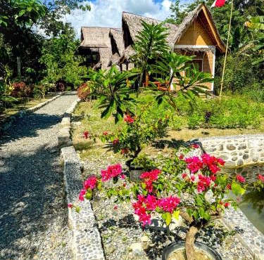 Mimpi of Orangutan Adventure, TREK ONLY BOOK WITH US