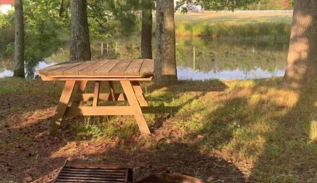 Mini Cabin 2 Near Ocean City & Assateague On catch and release fishing lake