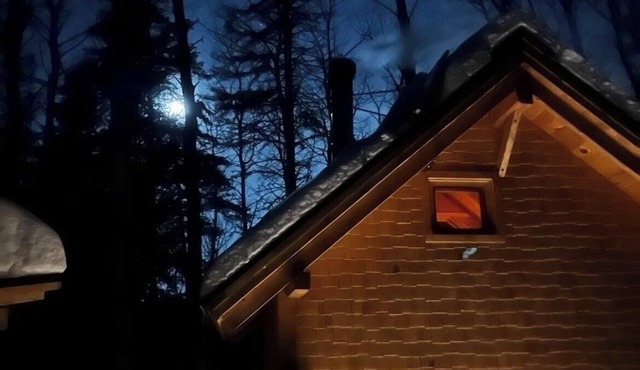 Mini chalet Le Tourne-Bille, authentic log construction.