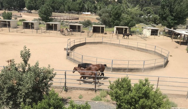 Mini Dude Ranch. nWorking Horse ranch, studio, Pet friendly, Mountain Views