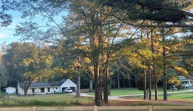 "Mini Farm" stay, Guest Cottage, 2 BD 1 Bath, Large Kitchen on 8 acres.