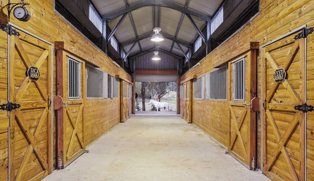 Mini farm stay so close to town