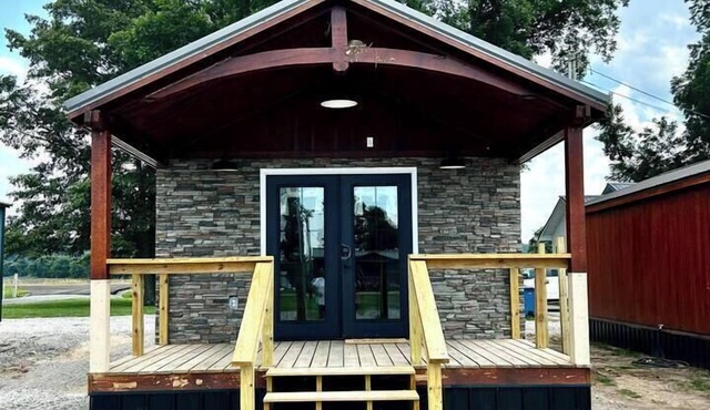 Mini Mallard at Reelfoot Lake