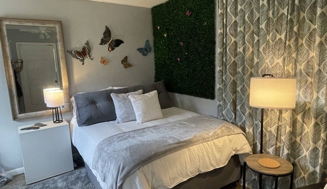 Mini Monarch 🦋 Cabina