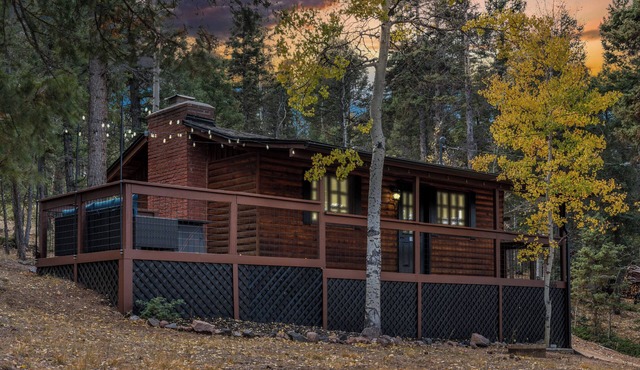 Mini Mountain Retreat surrounded by Trees in enchanting Divide with WiFi