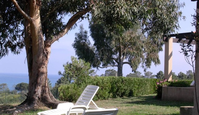 Mini-villa "01 - Arbutus". Sleeps 4-5. SOLENZARA
