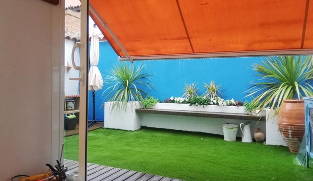 MiniCasa+Jardin