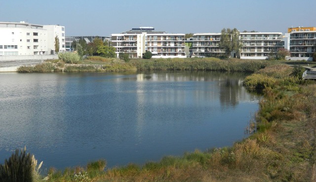 Minimal studio with pool and garage, classified 2 stars