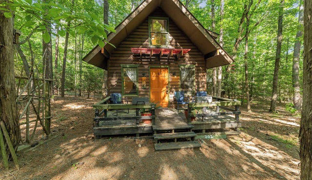 Minimalist Cabin in the wood mins drive to lake