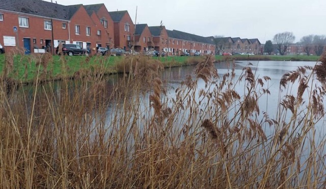 Minimum 4-day, weekly or monthly rental, 15 minutes from Dunkirk