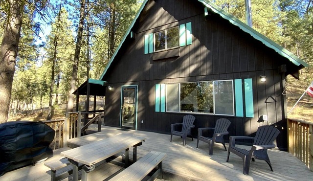 Mint Chip Cabin - Pet friendly - Forested - Large deck - Fire pit