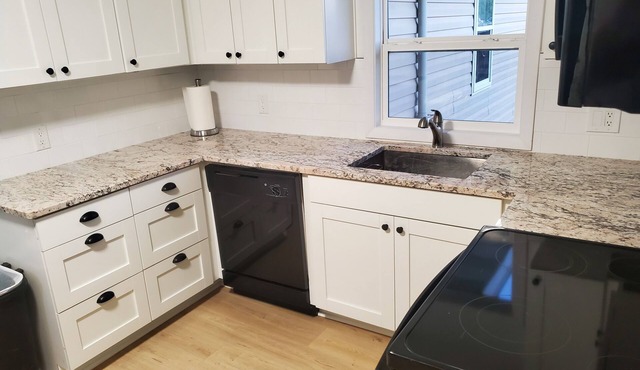 Mint City Gem in the heart of St. John’s - newly remodeled 3 bed/1 bath!