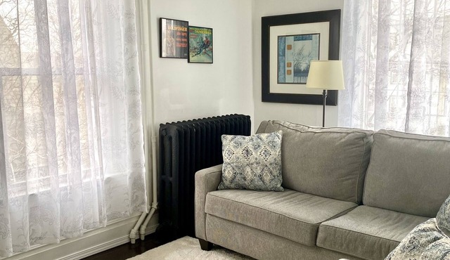 Mint Vintage 2 bed apt Walk to the locks Sault USA