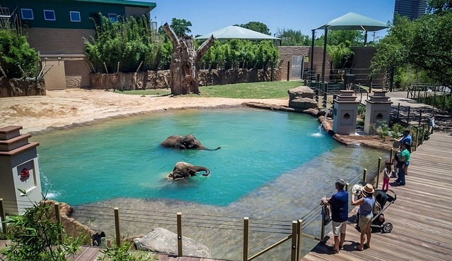 Minutes away from Houston Zoo! Pets Allowed! Wheelchair-accessible! Gym! BBQ!
