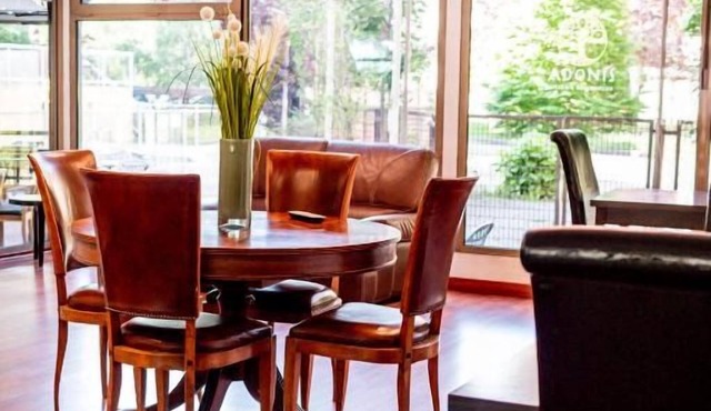 Minutes from Lauzon Ski Lift, Stay in a Pet-Friendly Hotel with On-Site Parking!