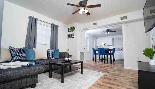 Minutes From Stadium, USF, Busch Gardens, Hard Rock ⭐️