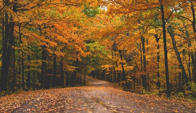 Minutes from the airport and Mall of America