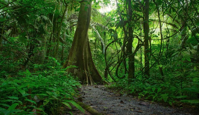 Minutes to Lake Peachtree, Flat Creek Country Club