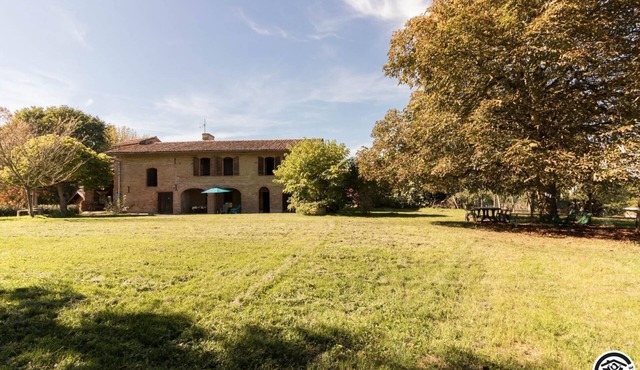 Miqueloune - Villemur-sur-Tarn