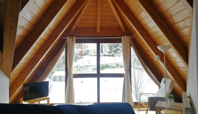 Miralent de Sallent Penthouse