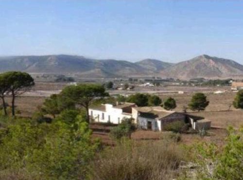 Miramontes