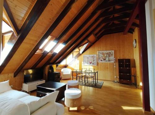 Misalas, Ski y montaña petfriendly - Arafita Apartamentos