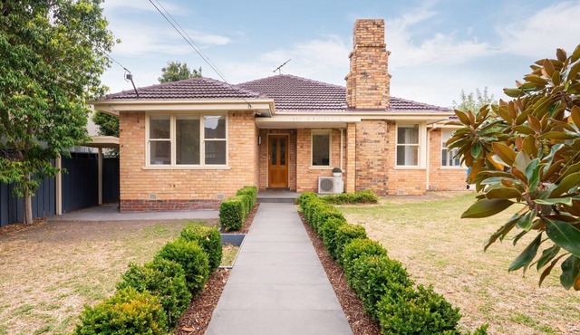 Miss Peregrine in Brighton East