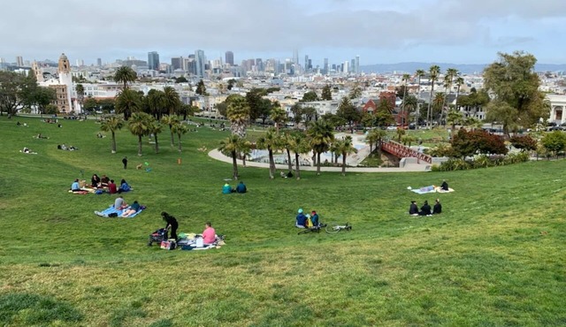 Mission All: Backyard, Bar Shed and full apartment!