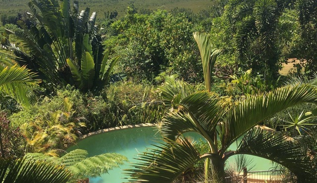 Mission Beach Escape