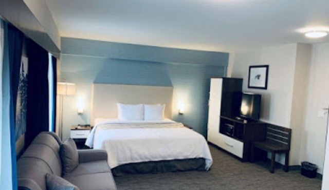 Mississauga stay minutes to Pearson and The International Centre