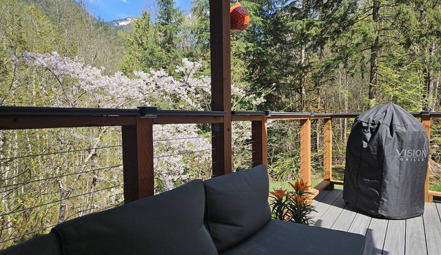 Misty Mountain Cabin-2 bed, 1 bath, mountain views and large deck