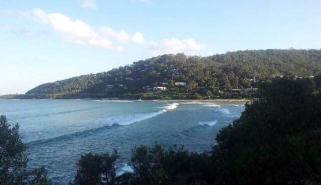 Mitchell House (The BunkHouse)