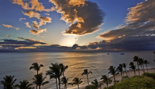 MKT 233A $299 Fall Specials at Remodel 3Bedroom Hawaiiana Guest House in Wailuku