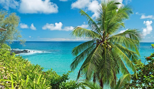 MKT 233C $249 Fall Special at Cozy 2Bedroom Cottage Wailuku Town w AC Near Iao