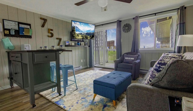 ML 128: Ballhooter views await you. Charming 1BR next to bike trails!