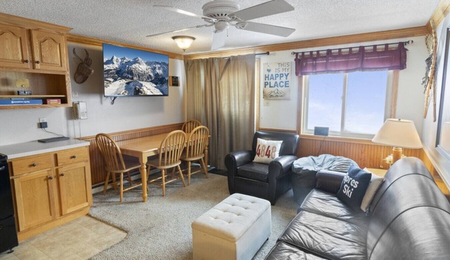 ML390 King Bed Sleeps 8 Quiet Mountain View WiFi