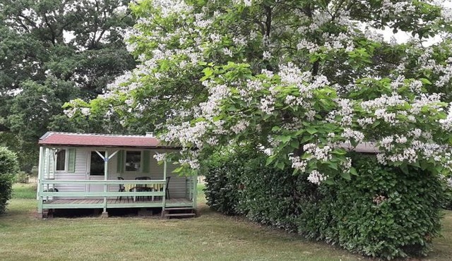 Mobile home, pets welcome - 4 guests