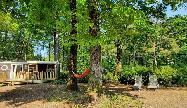 Mobil home 6 pers camping 3* sur belle parcelle au calme