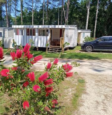 Mobil home 6 personnes Mer et Pins